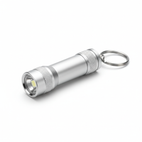 FlashMini™ Pro Keychain Light